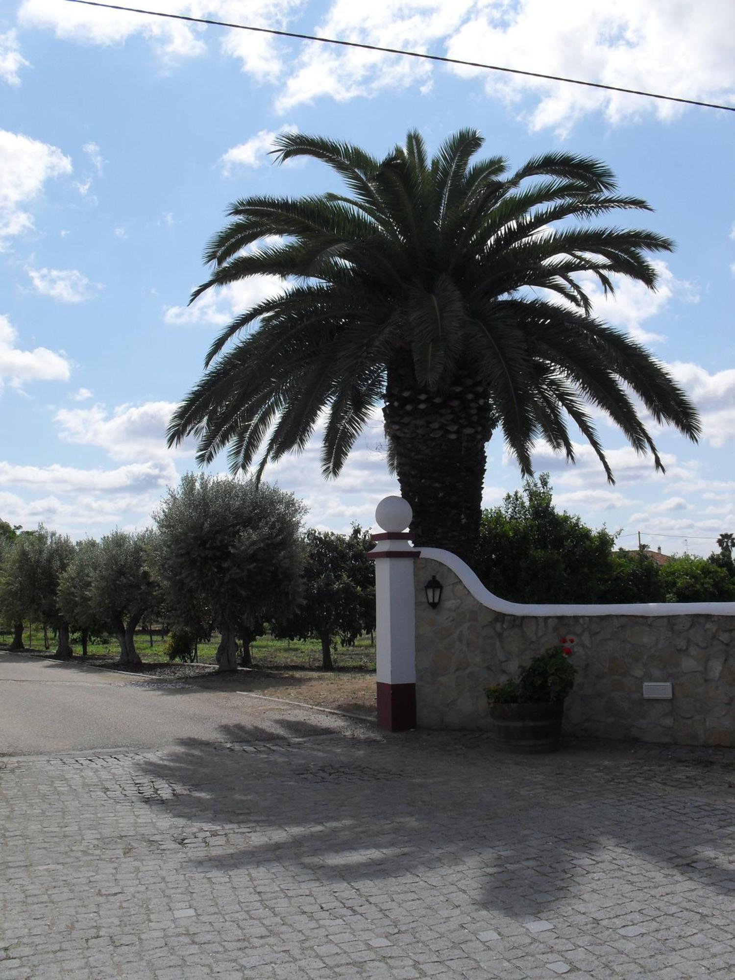 Hotel Terras De Monsaraz Reguengos de Monsaraz Esterno foto